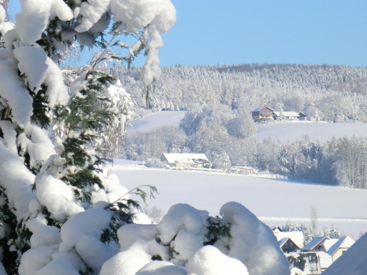 Ferienwohnung Floehatalblick Olbernhau Luaran gambar